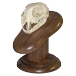 Skull Plaque