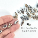 Red Fox Skull Replica – 1:24 Scale