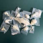 Mystery BoneBag – Skull Pack