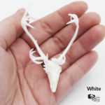 Reindeer / Caribou Skull Replica – 1:12 Scale
