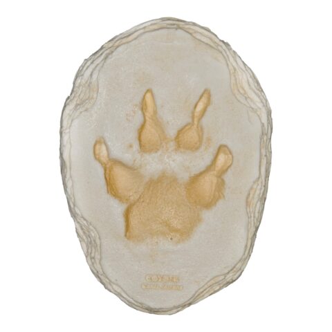 Replica Coyote Footprint
