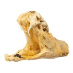Real Preserved Rattlesnake Head