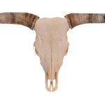 Real Longhorn Skull – 3200 g