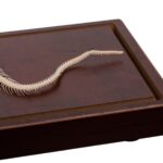 Real Non-venomous Snake Skeleton – Economy – Impaired