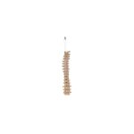 Real Loosely Strung Human Spine – Partial