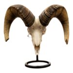 Metal Skull Mount – The Sheep Table Bracket