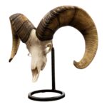 Metal Skull Mount – The Sheep Table Bracket
