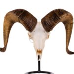Metal Skull Mount – The Sheep Table Bracket