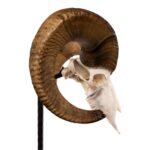 Metal Skull Mount – The Sheep Table Bracket