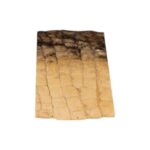 Real Preserved Crocodile Skin – Belly and Dorsal Hide (Single Piece)