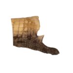 Real Preserved Crocodile Skin – Belly and Dorsal Hide (Single Piece)
