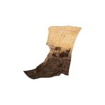 Real Preserved Crocodile Skin – Belly and Dorsal Hide (Single Piece)