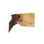 Real Preserved Crocodile Skin – Belly and Dorsal Hide (Single Piece)
