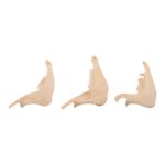 Real Domestic Goat Half Jaw
