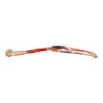 Real Human Left Arm – Painted and Articulated