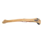 Real Human Tibia and Fibula – Painted
