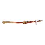 Real Human Partial Left Arm – Articulated