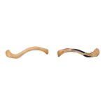 Real Human Clavicle Comparative Set