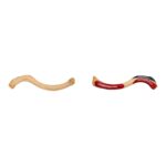 Real Human Clavicle Comparative Set