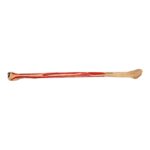 Real Human Fibula – Painted