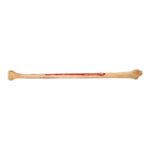 Real Human Fibula – Painted