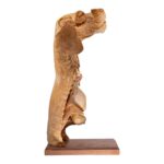 Real Plastinated Veterinary Domestic Dog Model on Stand