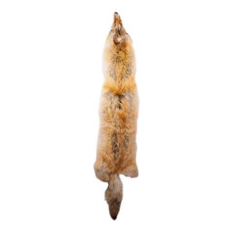 Real Coyote Pelt - 400 g