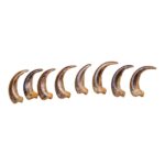 Real Kodiak Grizzly Bear Claw – Single