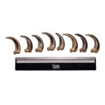 Real Kodiak Grizzly Bear Claw – Single