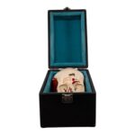 Real Human Dissected Skull in Carrying Case