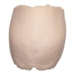 Real Human Partial Cranial Vault – 150 g