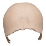 Real Human Partial Cranial Vault – 104 g