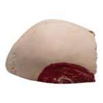 Real Human Partial Cranial Vault – 206 g