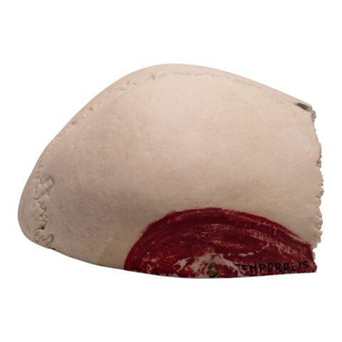 Real Human Partial Cranial Vault - 206 g