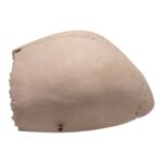 Real Human Partial Cranial Vault – 206 g