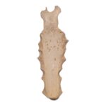 Real Human Partial Sternum