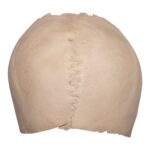 Real Human Partial Cranial Vault – 230 g
