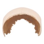 Real Human Skull Cap – Parietal Bones