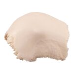 Real Human Skull Cap – Parietal Bones