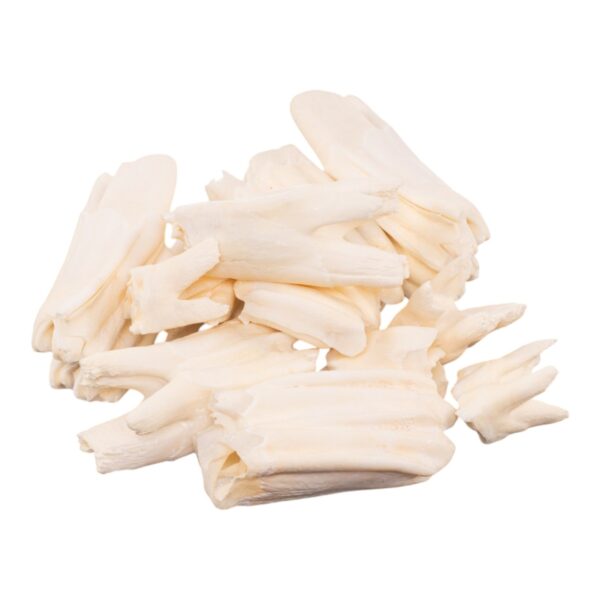 Real Bag – O Longhorn Teeth