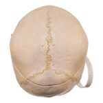Real Human Skull – 524 g