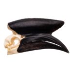 Real Black-casqued Hornbill Skull