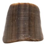 Real Horse Hoof – 56 g