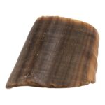 Real Horse Hoof – 56 g