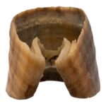 Real Horse Hoof – 56 g