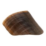 Real Horse Hoof – 56 g