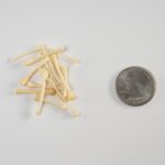 Real Bag-O-Beaver Baculum – Small