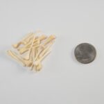 Real Bag-O-Beaver Baculum – Adolescent