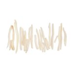 Real Bag-O-Coyote Baculum