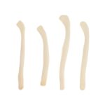 Real Bag-O-River Otter Baculum